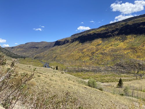 1510D0DB-848F-4A38-B4E9-31A56E41DACB.jpeg 1510D0DB-848F-4A38-B4E9-31A56E41DACB.jpeg