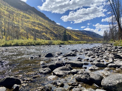 F8CA7C78-8A92-44D8-8FA3-792100B0BE5C.jpeg F8CA7C78-8A92-44D8-8FA3-792100B0BE5C.jpeg