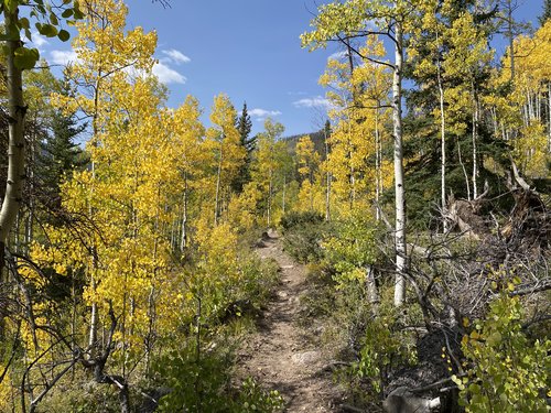 95128311-0600-4C88-917E-3BEABBAFFA93.jpeg 95128311-0600-4C88-917E-3BEABBAFFA93.jpeg