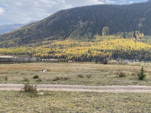 8B814284-6F50-434C-A987-71A394428A1C.jpeg 8B814284-6F50-434C-A987-71A394428A1C.jpeg