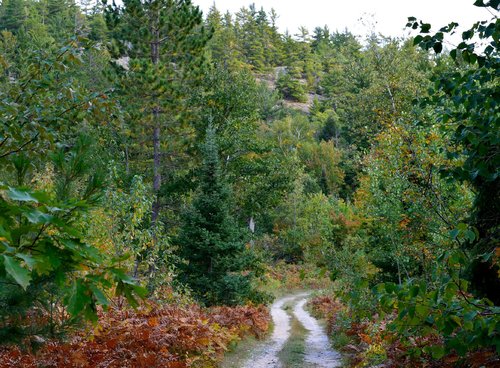 DSC_4044_521re.JPG DSC_4044_521re.JPG