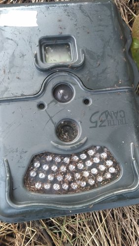 KIMG0227.JPG