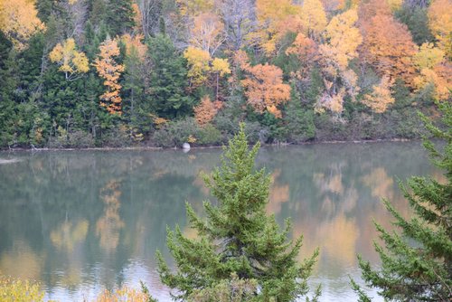 DSC_0111.JPG DSC_0111.JPG