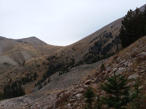 20200925_094404.jpg 20200925_094404.jpg