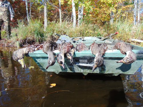 Ducks from Kreiner Lake (2).JPG