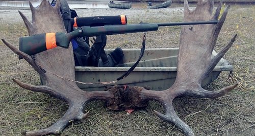 sled_mooseantlers (800x425).jpg sled_mooseantlers (800x425).jpg