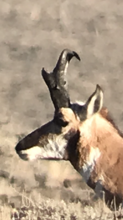 5C2876D0-38E2-4B70-8F00-B88DFA64174A.png 5C2876D0-38E2-4B70-8F00-B88DFA64174A.png