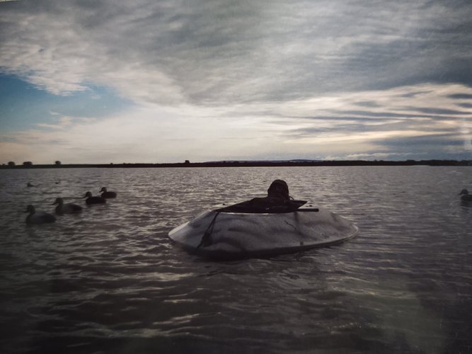 IMG_20201002_140002878.jpg IMG_20201002_140002878.jpg