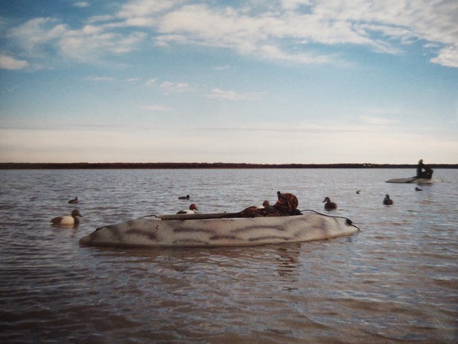 IMG_20201002_140032286.jpg IMG_20201002_140032286.jpg