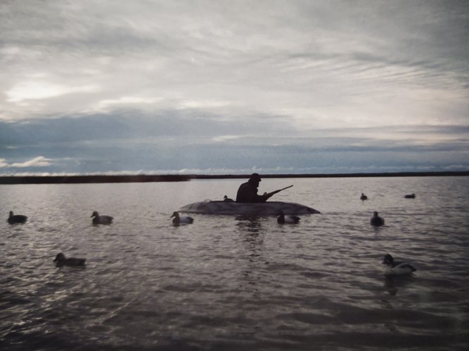 IMG_20201002_140109383.jpg IMG_20201002_140109383.jpg