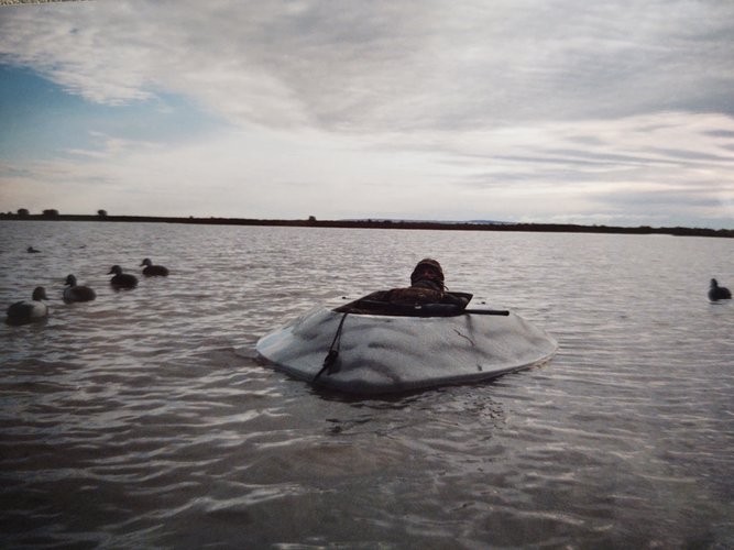 IMG_20201002_140147044.jpg IMG_20201002_140147044.jpg