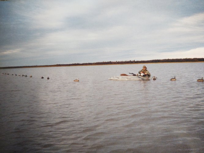 IMG_20201002_140413292.jpg IMG_20201002_140413292.jpg