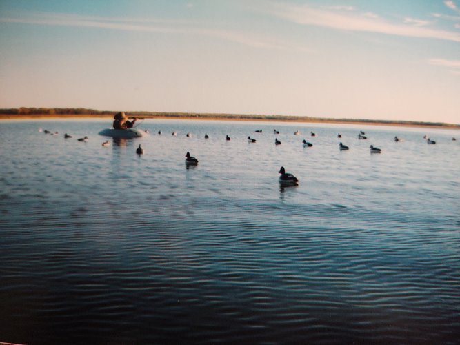 IMG_20201002_140640283.jpg IMG_20201002_140640283.jpg