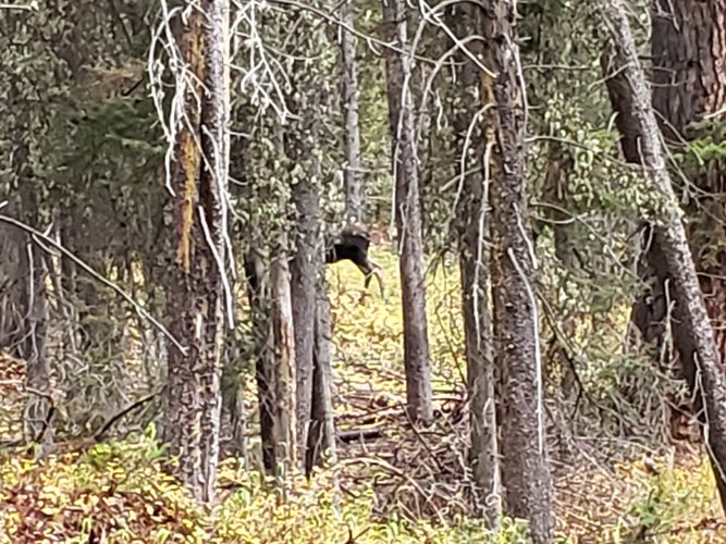 20200926_100200.jpg 20200926_100200.jpg
