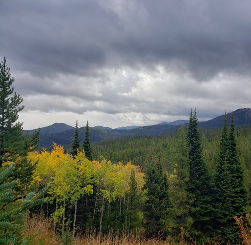 20200926_140050 (2).jpg 20200926_140050 (2).jpg