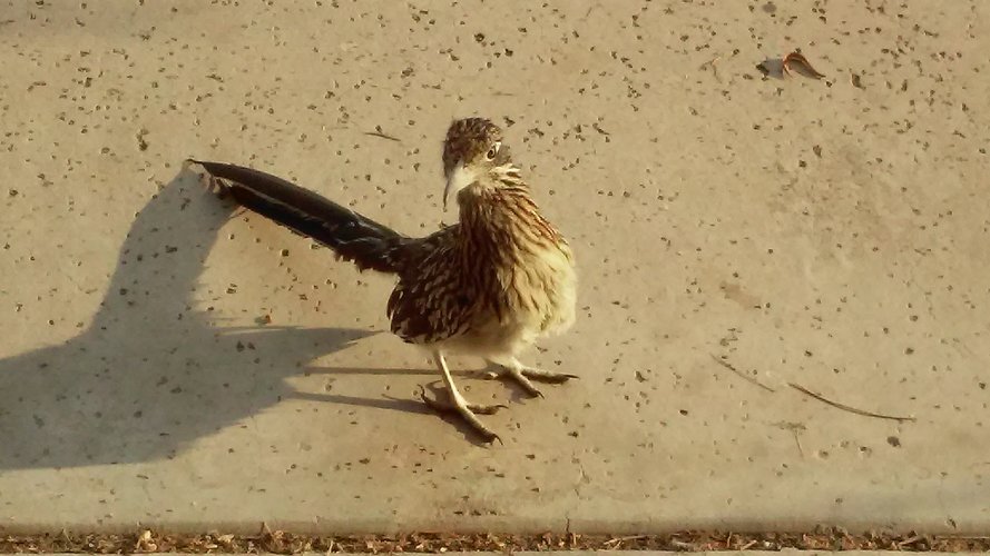 20200827_171309.jpg