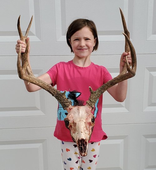 Buck 2.jpg Buck 2.jpg