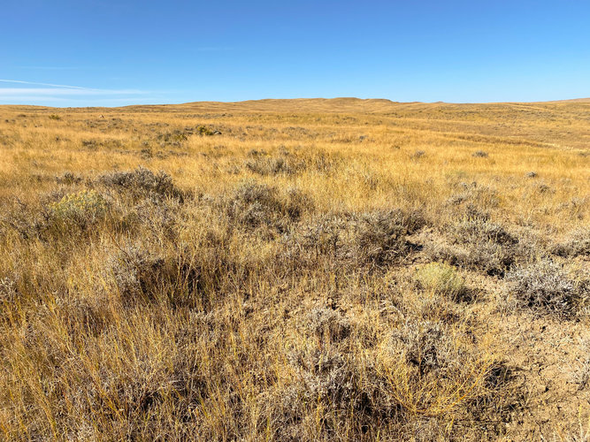 96721B1F-DB74-4242-8A70-B0B73F6AFC37.jpeg 96721B1F-DB74-4242-8A70-B0B73F6AFC37.jpeg