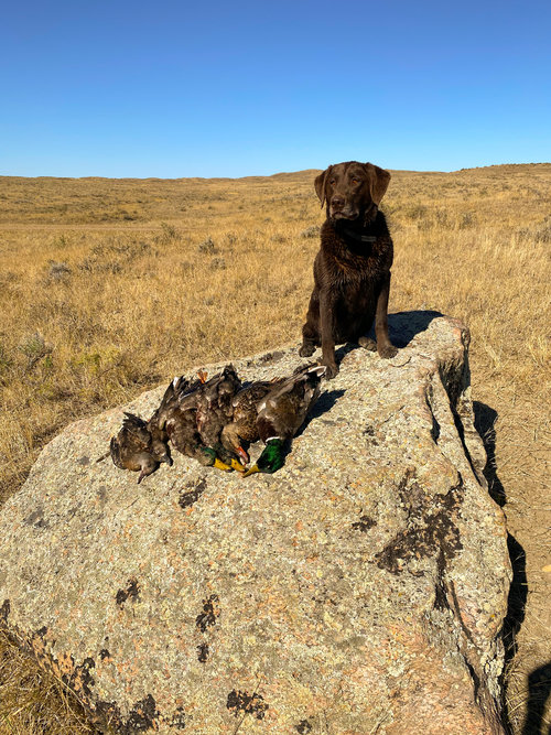 860D6F3D-C736-4C3A-8C37-D2D3D8A4268E.jpeg 860D6F3D-C736-4C3A-8C37-D2D3D8A4268E.jpeg