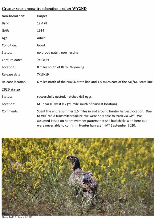 D18FE4A9-3740-4134-BEA3-6EFE1728EAD2.jpeg D18FE4A9-3740-4134-BEA3-6EFE1728EAD2.jpeg