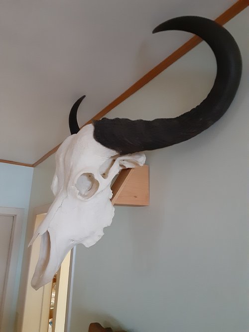 20201008_114835.jpg 20201008_114835.jpg