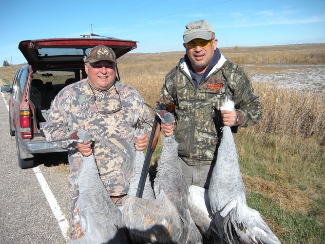 Peter and South Dakota Sandhill Cranes 10.9.20.jpg