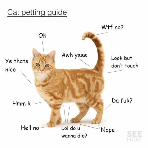 1602532837674.png 1602532837674.png