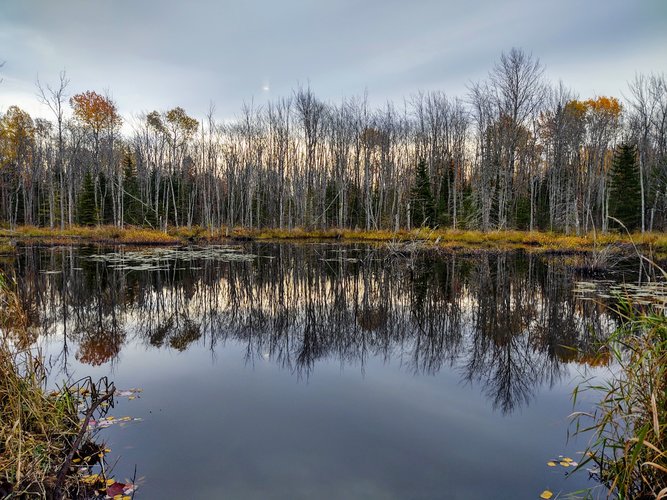 IMG_20201014_094215290_HDR.jpg