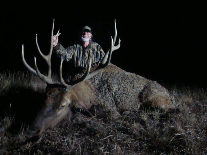 bull_1.JPG bull_1.JPG