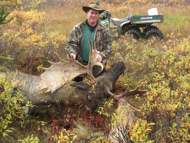60 inch moose.JPG