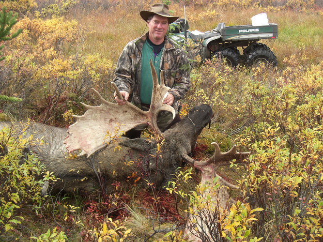 60 inch moose.JPG 60 inch moose.JPG