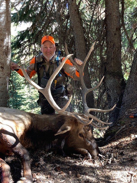 Colorado 2020 Elk.jpg