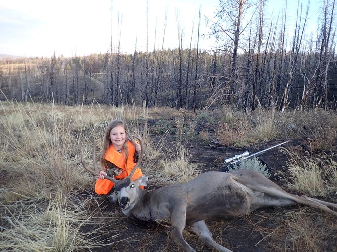 WY Mule Deer.jpg