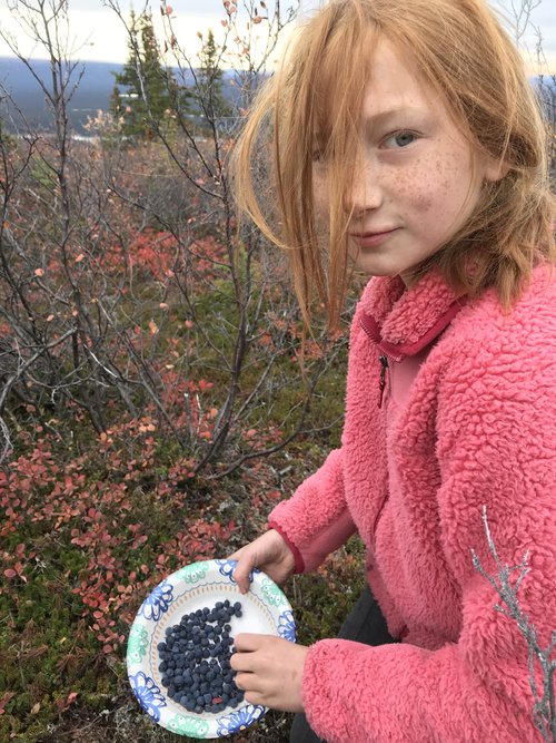 Picking Berries.JPG Picking Berries.JPG