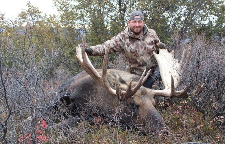 4 x 4 moose a.JPG 4 x 4 moose a.JPG
