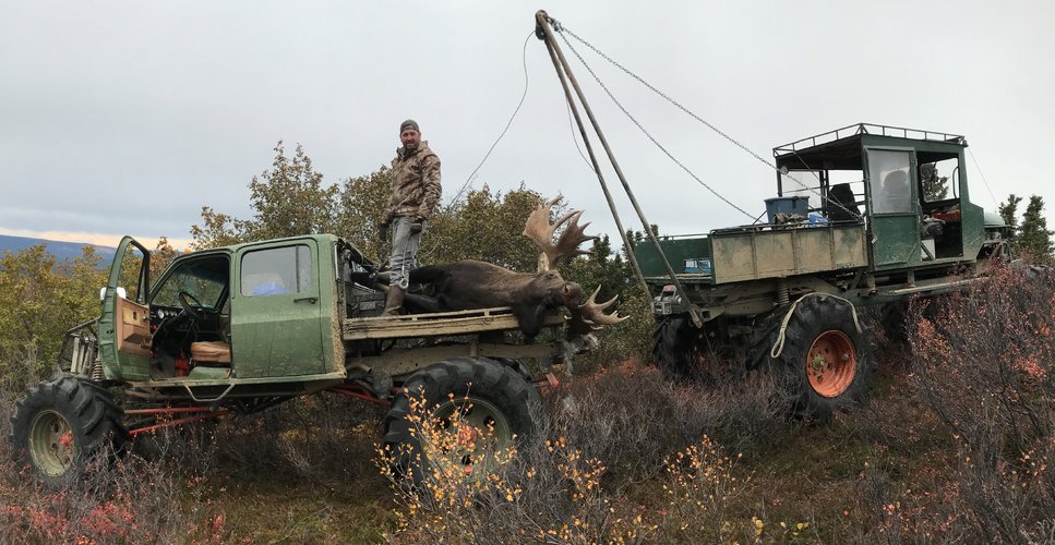 Moose loaded up.JPG Moose loaded up.JPG