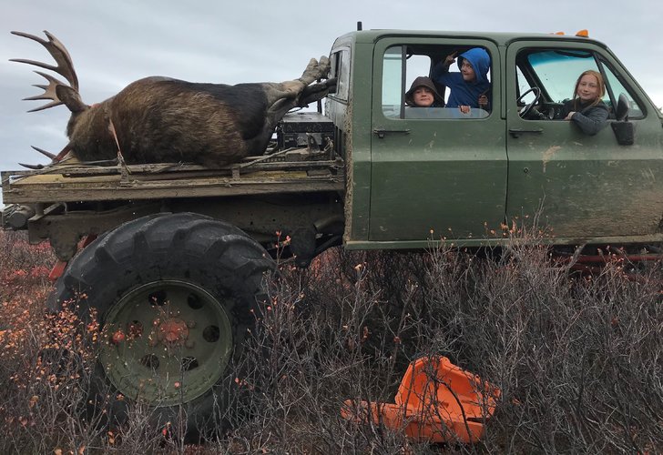 packing moose.JPG packing moose.JPG