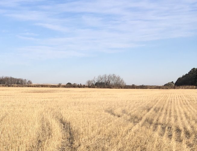 IMG_8063.jpg IMG_8063.jpg