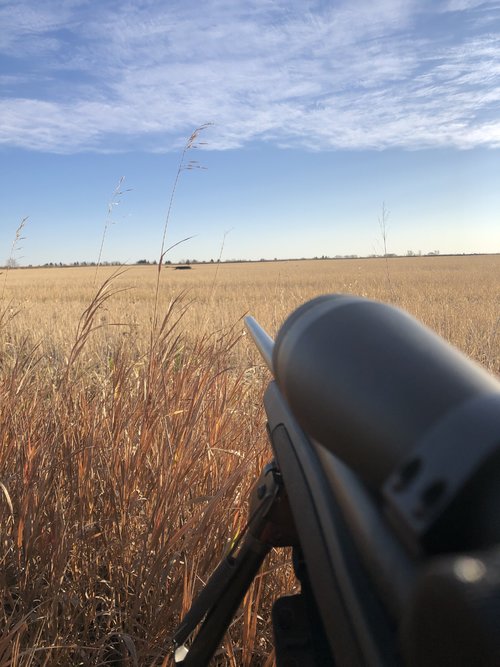 IMG_8060.jpg IMG_8060.jpg