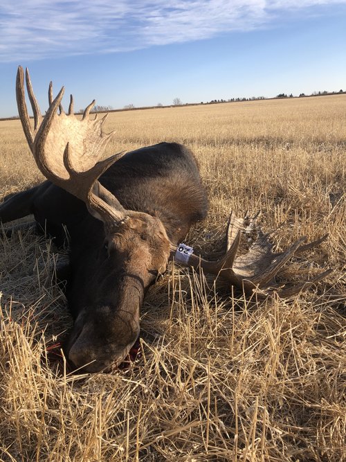 IMG_8066.jpg IMG_8066.jpg