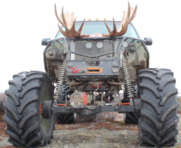 Big moose buggy.JPG