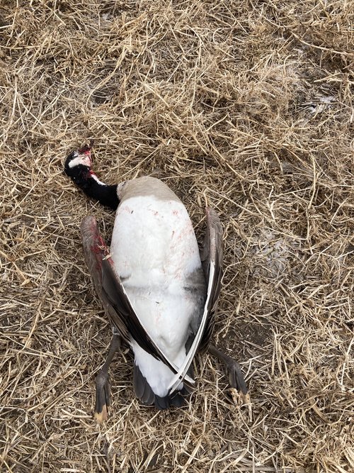 5770E0C2-44CD-4136-88B5-2B447A54A4E5.jpeg 5770E0C2-44CD-4136-88B5-2B447A54A4E5.jpeg