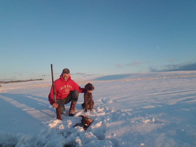 20201024_172012.jpg 20201024_172012.jpg