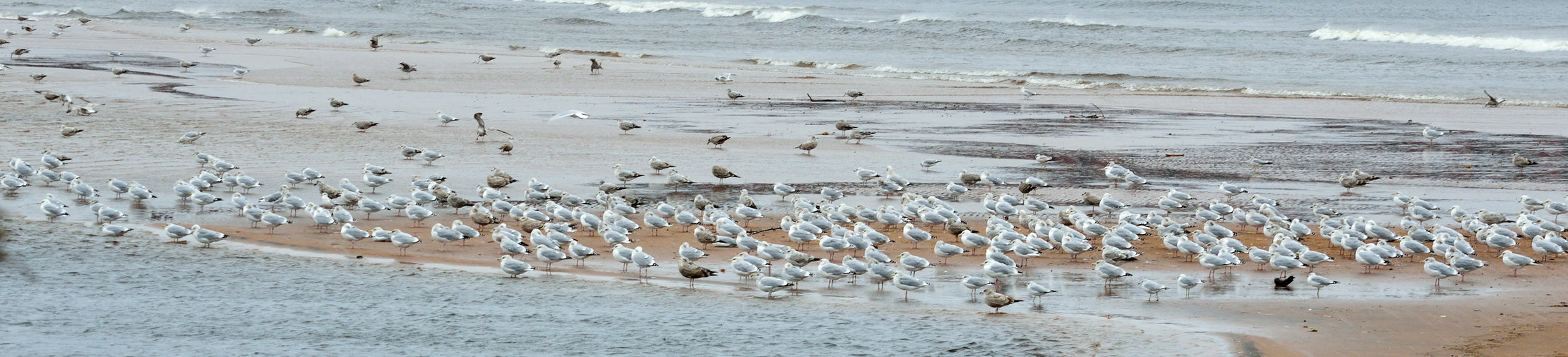 DSC_4754_600.JPG DSC_4754_600.JPG
