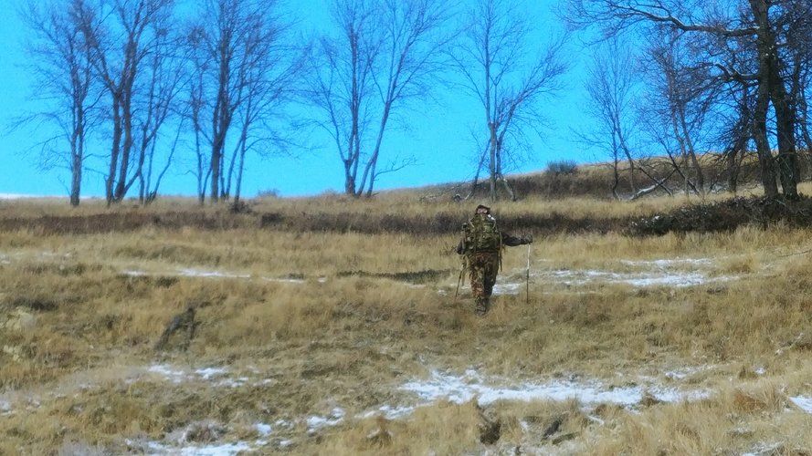 1024201517.jpg 1024201517.jpg