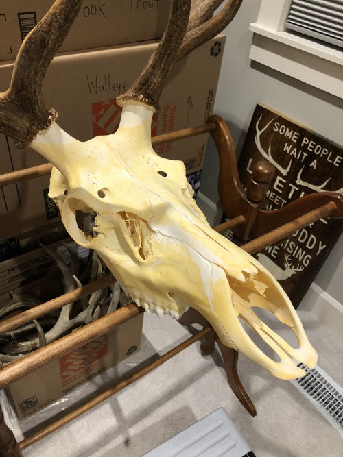 75738312-3D36-4AD8-96E4-1DB8EFFAF440.jpeg 75738312-3D36-4AD8-96E4-1DB8EFFAF440.jpeg
