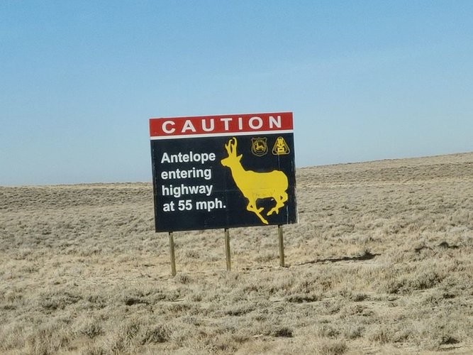 antelope_wyoming.jpg