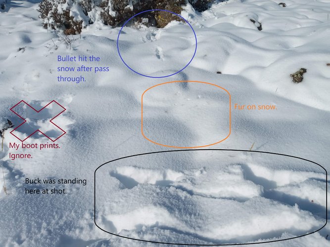Bullet track.jpg