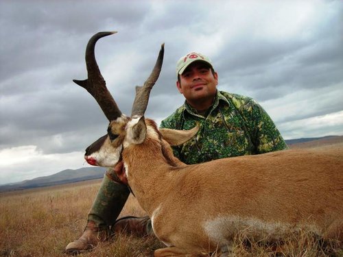adobeantelope2008.jpg