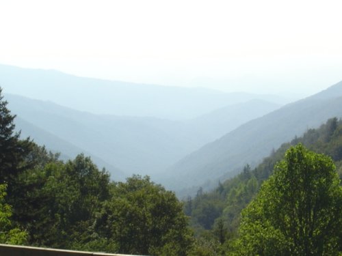 DSC01078.JPG